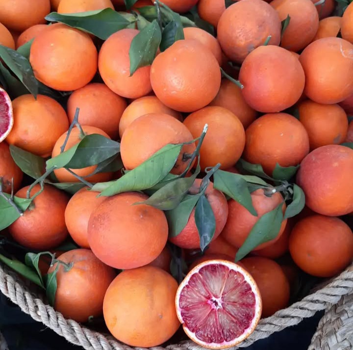 جشنواره شکرانه برداشت پرتقال در روستای پَرِشکوه لنگرود برگزار می شود