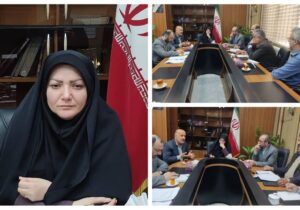 میراعلمی فرماندار سیاهکل در جلسه پیگیری پروژه‌های عمرانی این شهرستان: باهماهنگی و برنامه‌ریزی دقیق، پروژه‌های در دست اجرا باید به مرحله بهره‌برداری برسند