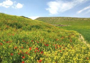 درخشش آفتاب شهریور ماه در آسمان گیلان 