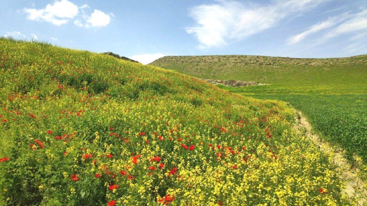 درخشش آفتاب شهریور ماه در آسمان گیلان 
