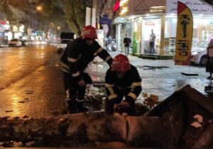 سقوط یک اصله درخت در خیابان تختی رشت