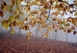 آسمان گیلان ابری تا قسمتی ابری