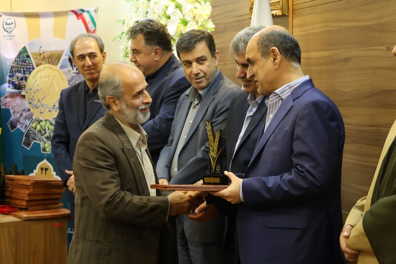 همایش تجلیل از کشاورزان نمونه در استانداری گیلان برگزار شد 