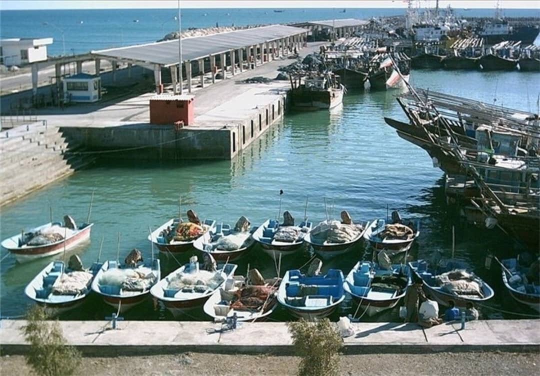 بنادر ماهیگیری دولتی واگذار می‌شود