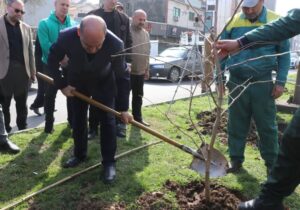 کاشت نهال از سوی استاندار گیلان به نیابت از امام شهید در روز درختکاری
