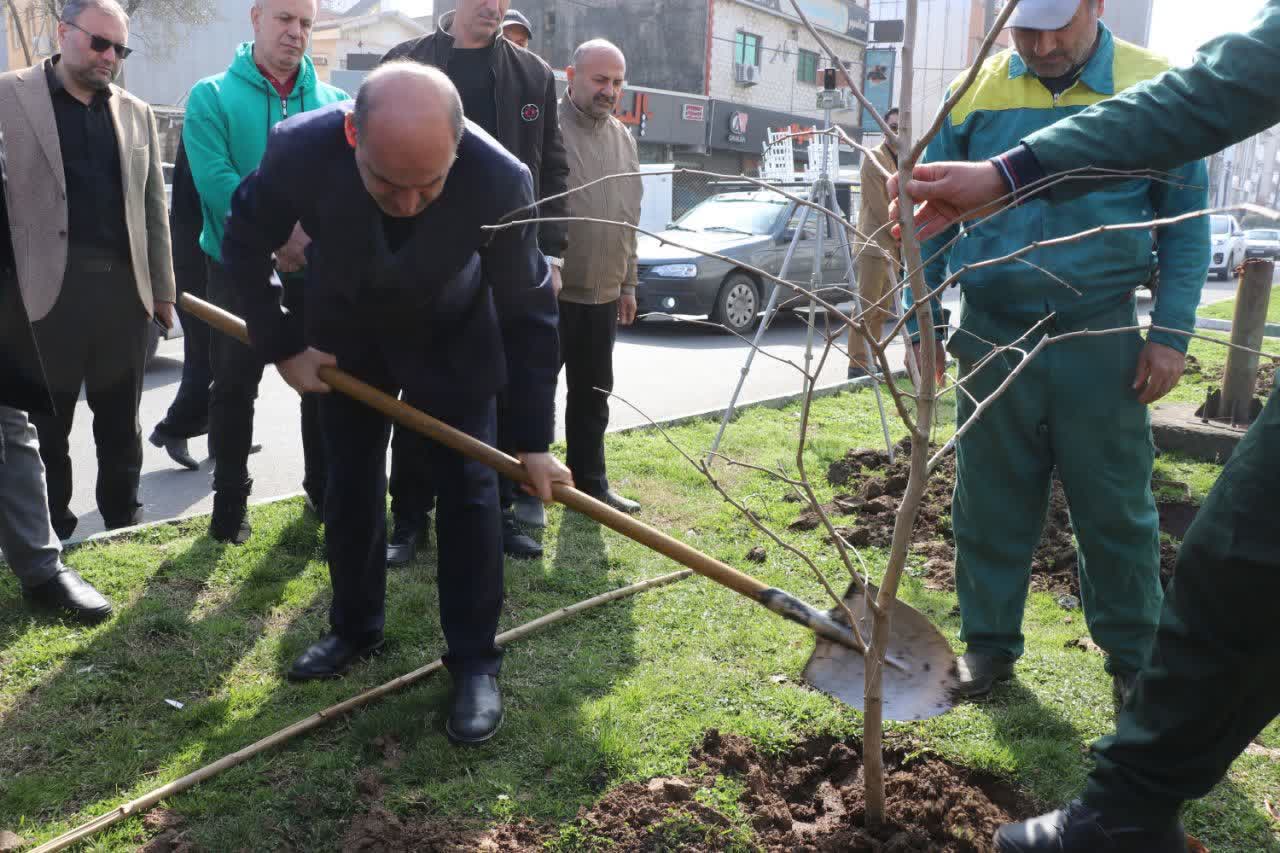 کاشت نهال از سوی استاندار گیلان به نیابت از امام شهید در روز درختکاری
