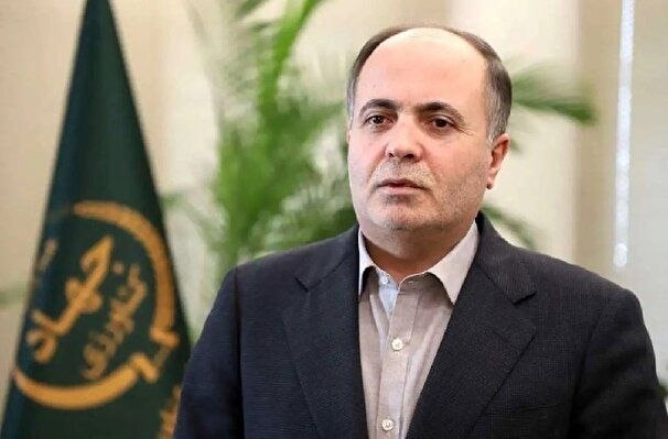 تامین اعتبار ۵۰ هزار میلیارد تومان دیگر از مطالبات گندم کاران