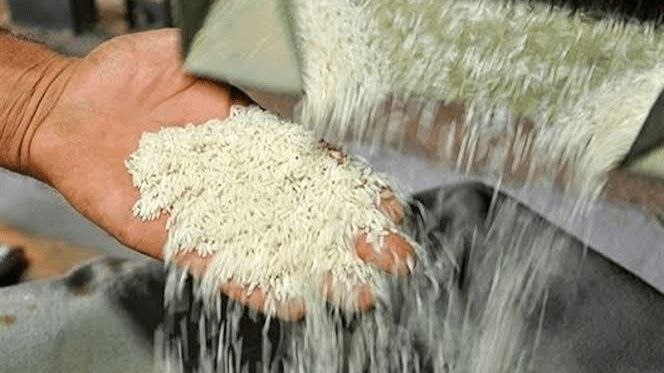 ابلاغ تعرفه جدید شالیکوبی همزمان با آغاز فصل برداشت برنج